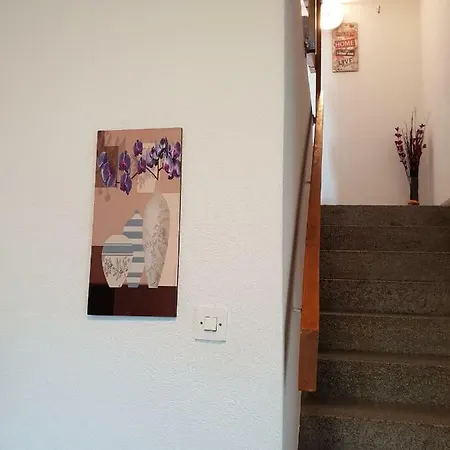 Apartment Niko *